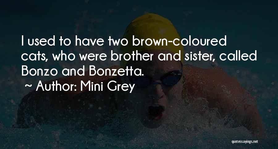 Mini Grey Quotes: I Used To Have Two Brown-coloured Cats, Who Were Brother And Sister, Called Bonzo And Bonzetta.