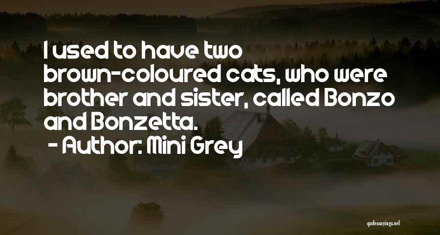 Mini Grey Quotes: I Used To Have Two Brown-coloured Cats, Who Were Brother And Sister, Called Bonzo And Bonzetta.