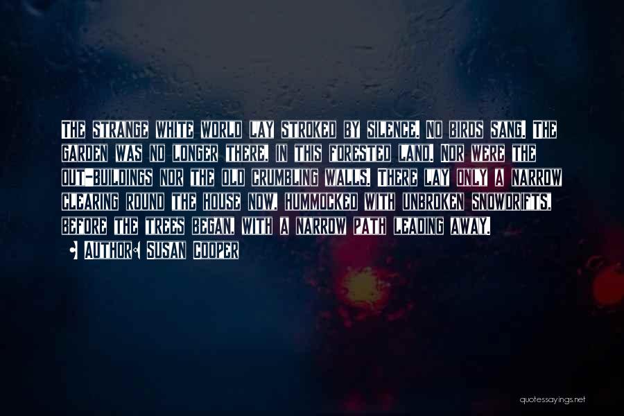 Susan Cooper Quotes: The Strange White World Lay Stroked By Silence. No Birds Sang. The Garden Was No Longer There, In This Forested