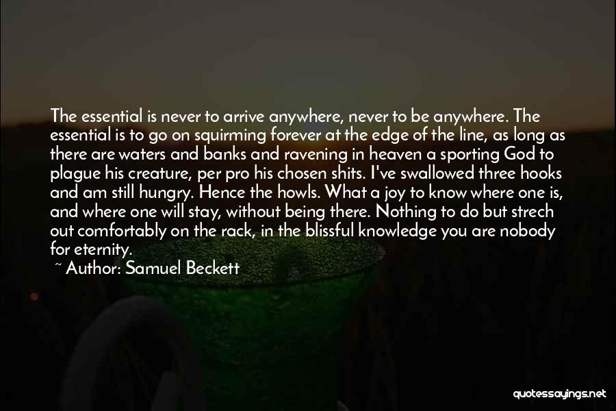 Samuel Beckett Quotes: The Essential Is Never To Arrive Anywhere, Never To Be Anywhere. The Essential Is To Go On Squirming Forever At