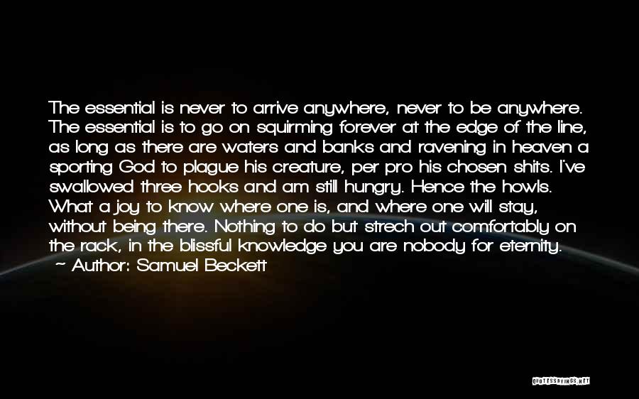 Samuel Beckett Quotes: The Essential Is Never To Arrive Anywhere, Never To Be Anywhere. The Essential Is To Go On Squirming Forever At