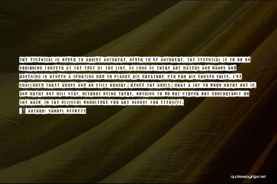 Samuel Beckett Quotes: The Essential Is Never To Arrive Anywhere, Never To Be Anywhere. The Essential Is To Go On Squirming Forever At