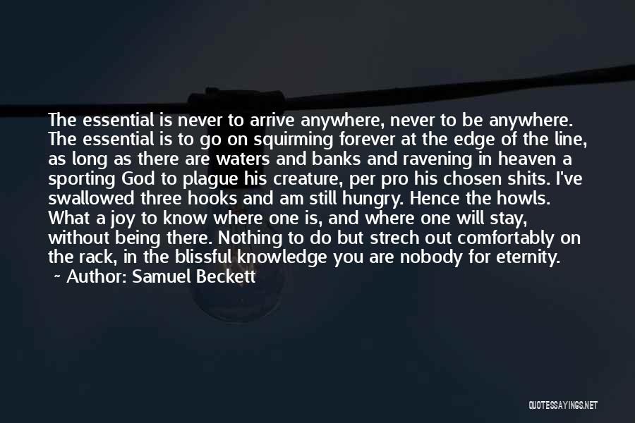 Samuel Beckett Quotes: The Essential Is Never To Arrive Anywhere, Never To Be Anywhere. The Essential Is To Go On Squirming Forever At