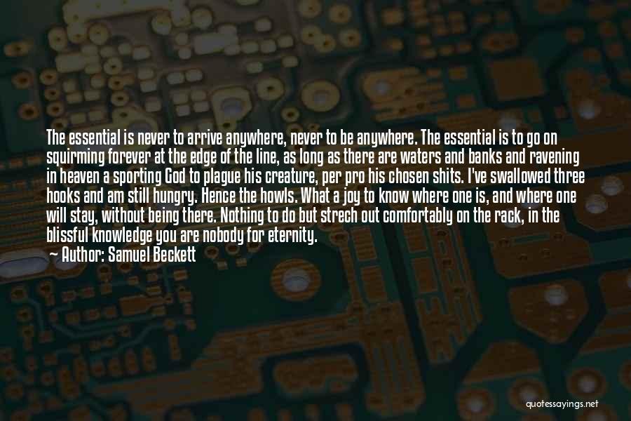 Samuel Beckett Quotes: The Essential Is Never To Arrive Anywhere, Never To Be Anywhere. The Essential Is To Go On Squirming Forever At