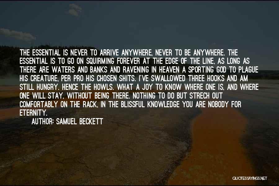 Samuel Beckett Quotes: The Essential Is Never To Arrive Anywhere, Never To Be Anywhere. The Essential Is To Go On Squirming Forever At