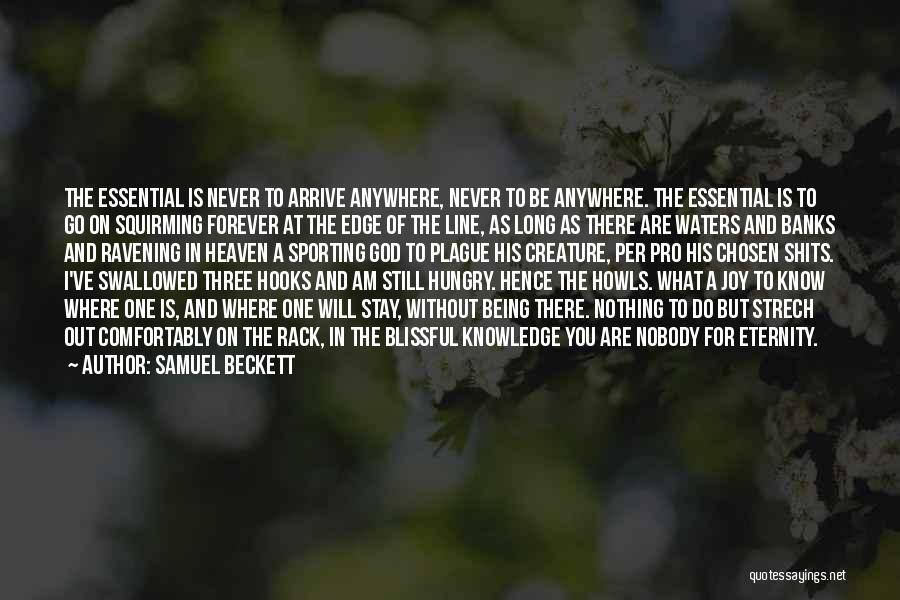 Samuel Beckett Quotes: The Essential Is Never To Arrive Anywhere, Never To Be Anywhere. The Essential Is To Go On Squirming Forever At