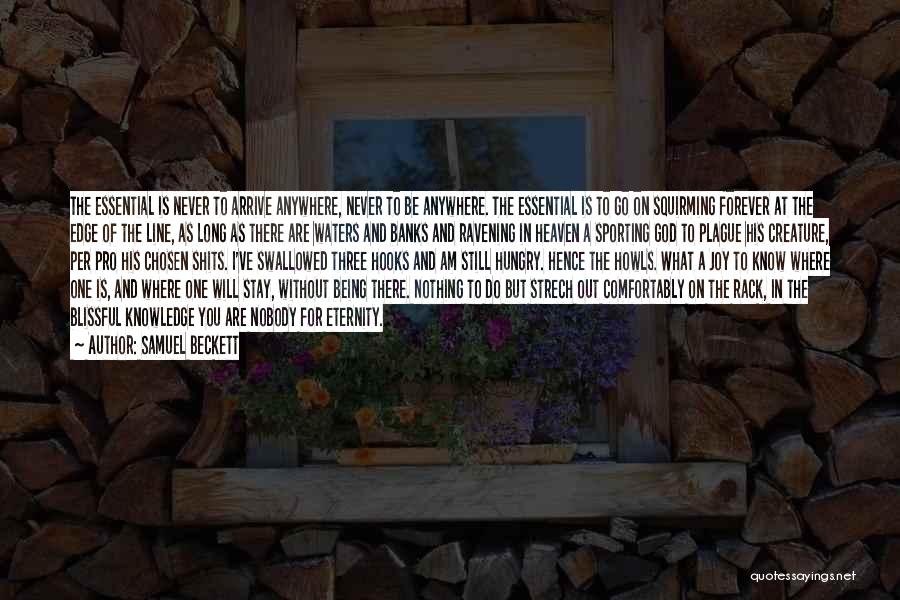 Samuel Beckett Quotes: The Essential Is Never To Arrive Anywhere, Never To Be Anywhere. The Essential Is To Go On Squirming Forever At