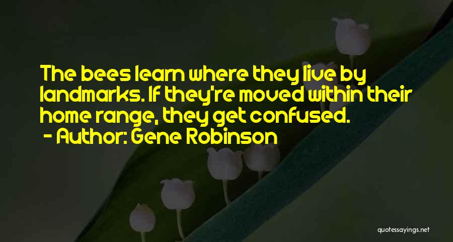 Gene Robinson Quotes: The Bees Learn Where They Live By Landmarks. If They're Moved Within Their Home Range, They Get Confused.