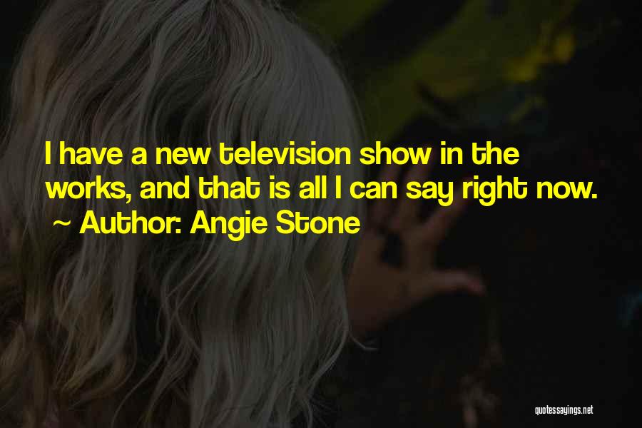 Angie Stone Quotes: I Have A New Television Show In The Works, And That Is All I Can Say Right Now.