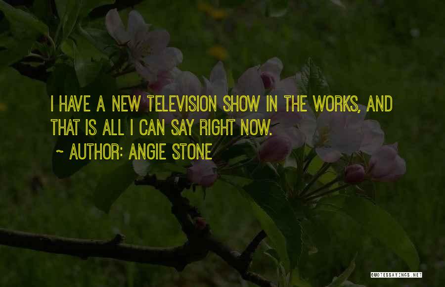 Angie Stone Quotes: I Have A New Television Show In The Works, And That Is All I Can Say Right Now.