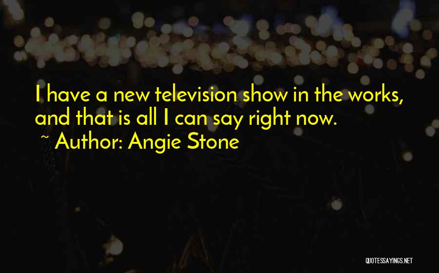Angie Stone Quotes: I Have A New Television Show In The Works, And That Is All I Can Say Right Now.