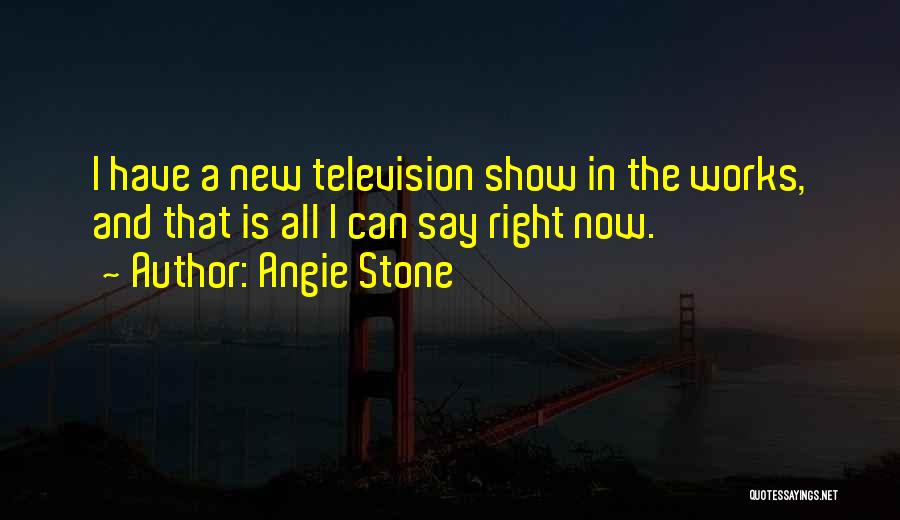 Angie Stone Quotes: I Have A New Television Show In The Works, And That Is All I Can Say Right Now.