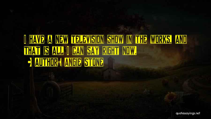 Angie Stone Quotes: I Have A New Television Show In The Works, And That Is All I Can Say Right Now.