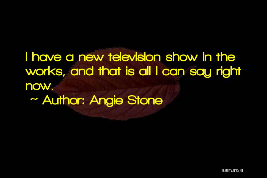Angie Stone Quotes: I Have A New Television Show In The Works, And That Is All I Can Say Right Now.