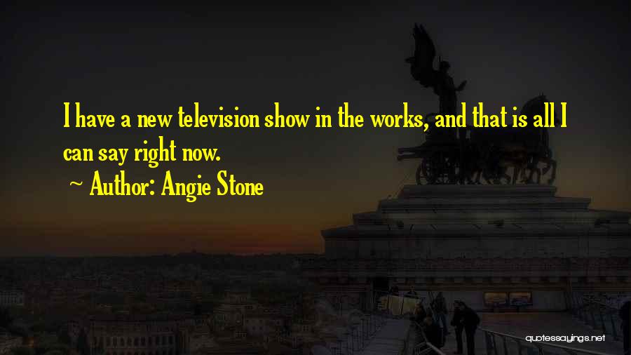 Angie Stone Quotes: I Have A New Television Show In The Works, And That Is All I Can Say Right Now.