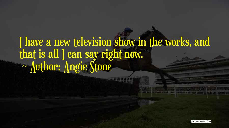 Angie Stone Quotes: I Have A New Television Show In The Works, And That Is All I Can Say Right Now.
