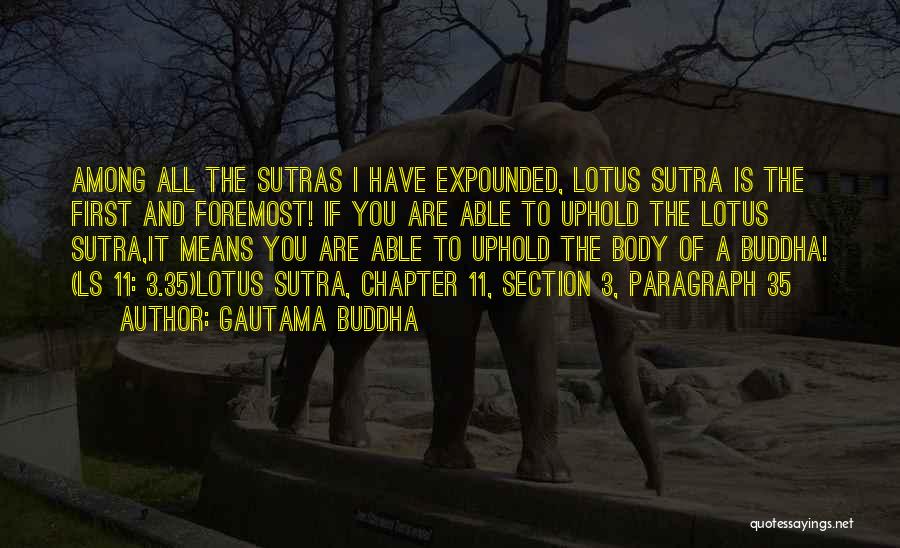 Gautama Buddha Quotes: Among All The Sutras I Have Expounded, Lotus Sutra Is The First And Foremost! If You Are Able To Uphold