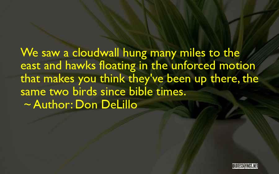 Don DeLillo Quotes: We Saw A Cloudwall Hung Many Miles To The East And Hawks Floating In The Unforced Motion That Makes You