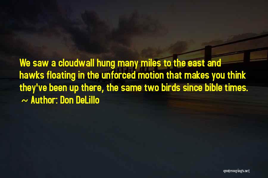 Don DeLillo Quotes: We Saw A Cloudwall Hung Many Miles To The East And Hawks Floating In The Unforced Motion That Makes You