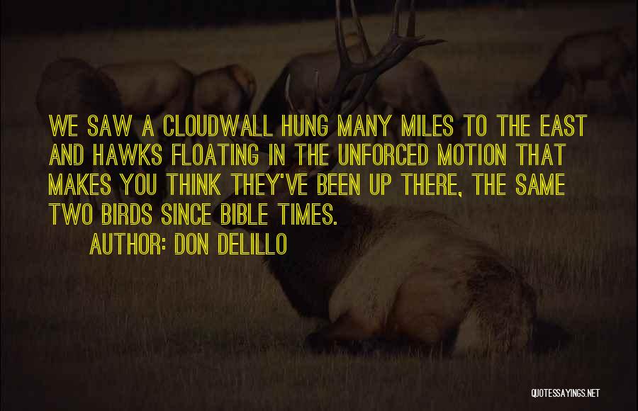 Don DeLillo Quotes: We Saw A Cloudwall Hung Many Miles To The East And Hawks Floating In The Unforced Motion That Makes You