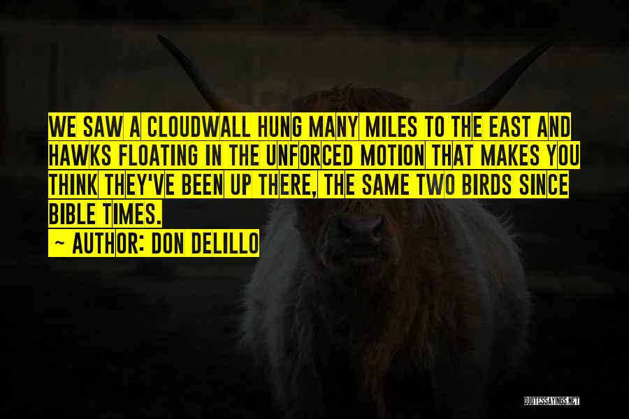 Don DeLillo Quotes: We Saw A Cloudwall Hung Many Miles To The East And Hawks Floating In The Unforced Motion That Makes You