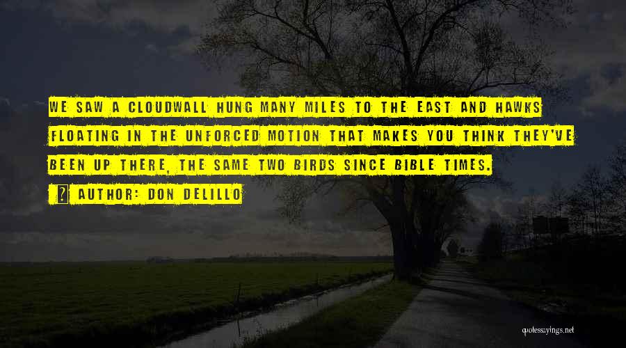 Don DeLillo Quotes: We Saw A Cloudwall Hung Many Miles To The East And Hawks Floating In The Unforced Motion That Makes You