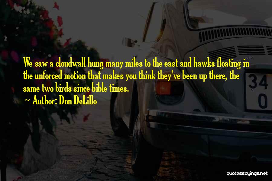 Don DeLillo Quotes: We Saw A Cloudwall Hung Many Miles To The East And Hawks Floating In The Unforced Motion That Makes You