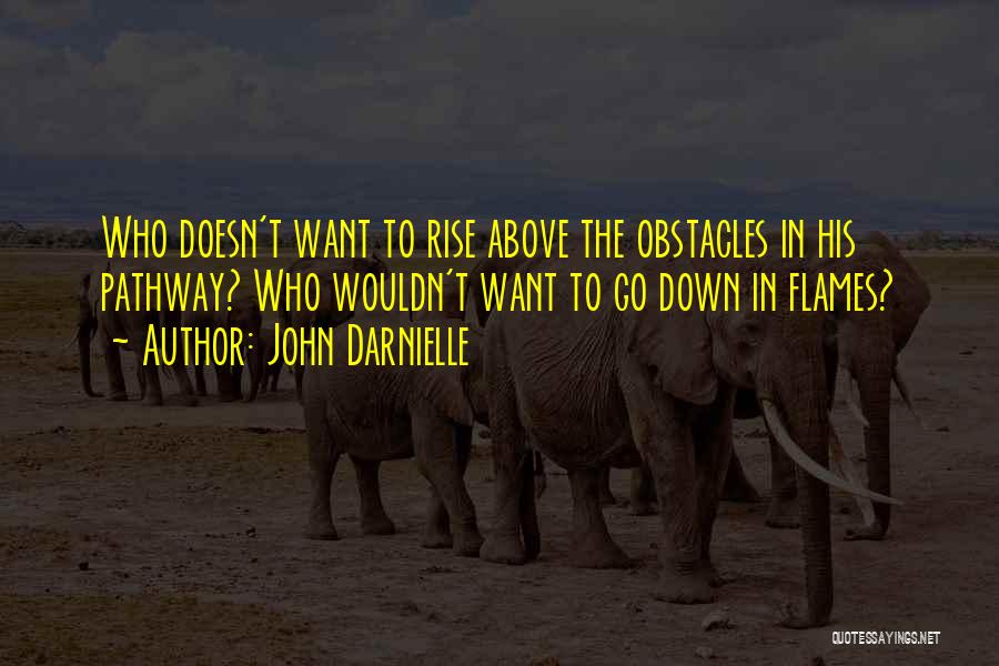 John Darnielle Quotes: Who Doesn't Want To Rise Above The Obstacles In His Pathway? Who Wouldn't Want To Go Down In Flames?