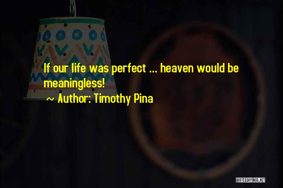 Timothy Pina Quotes: If Our Life Was Perfect ... Heaven Would Be Meaningless!