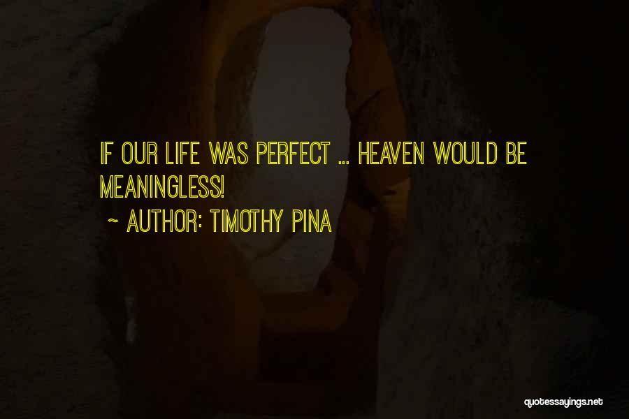 Timothy Pina Quotes: If Our Life Was Perfect ... Heaven Would Be Meaningless!