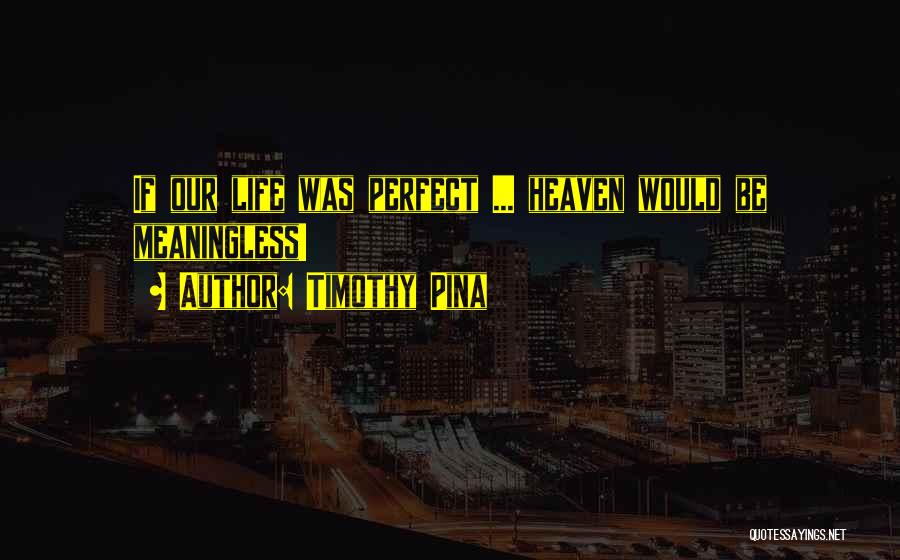 Timothy Pina Quotes: If Our Life Was Perfect ... Heaven Would Be Meaningless!
