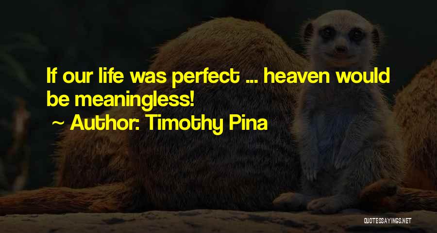 Timothy Pina Quotes: If Our Life Was Perfect ... Heaven Would Be Meaningless!