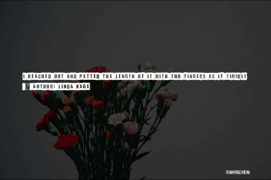 Linda Kage Quotes: I Reached Out And Petted The Length Of It With Two Fingers As If Timidly Greeting A Live, Rabid Animal.sweat