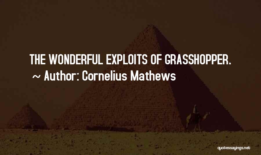 Cornelius Mathews Quotes: The Wonderful Exploits Of Grasshopper.