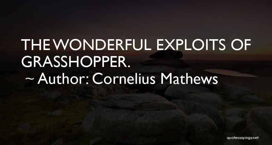 Cornelius Mathews Quotes: The Wonderful Exploits Of Grasshopper.