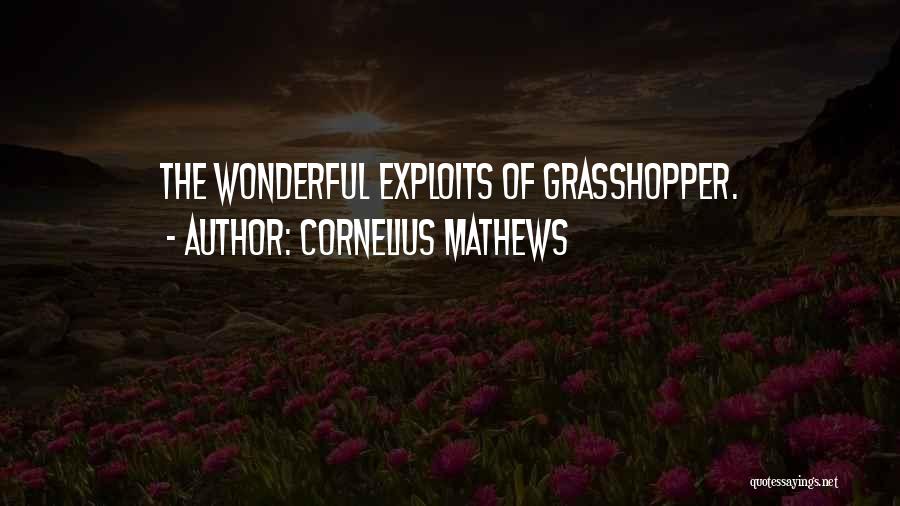 Cornelius Mathews Quotes: The Wonderful Exploits Of Grasshopper.