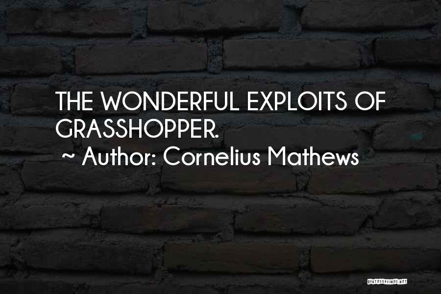 Cornelius Mathews Quotes: The Wonderful Exploits Of Grasshopper.