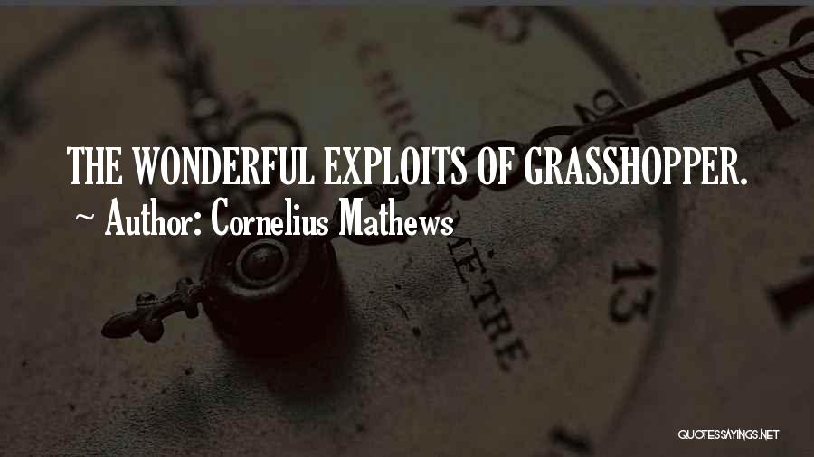 Cornelius Mathews Quotes: The Wonderful Exploits Of Grasshopper.