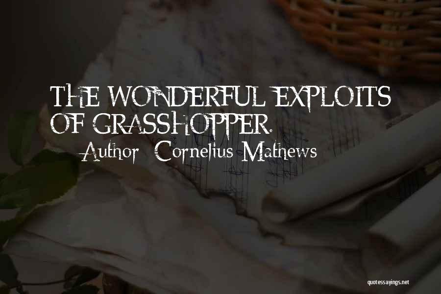 Cornelius Mathews Quotes: The Wonderful Exploits Of Grasshopper.