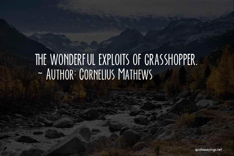 Cornelius Mathews Quotes: The Wonderful Exploits Of Grasshopper.