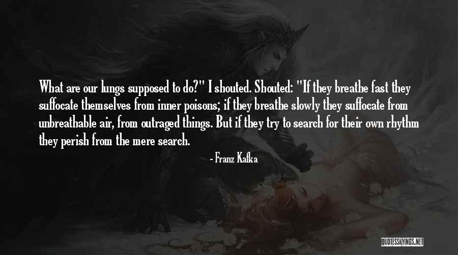 1950s America Quotes By Franz Kafka