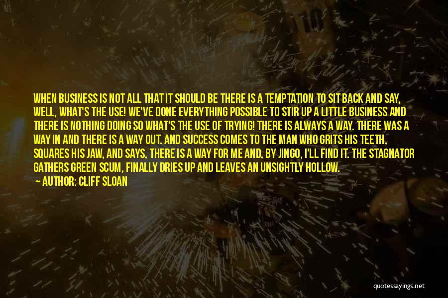 Cliff Sloan Quotes: When Business Is Not All That It Should Be There Is A Temptation To Sit Back And Say, Well, What's