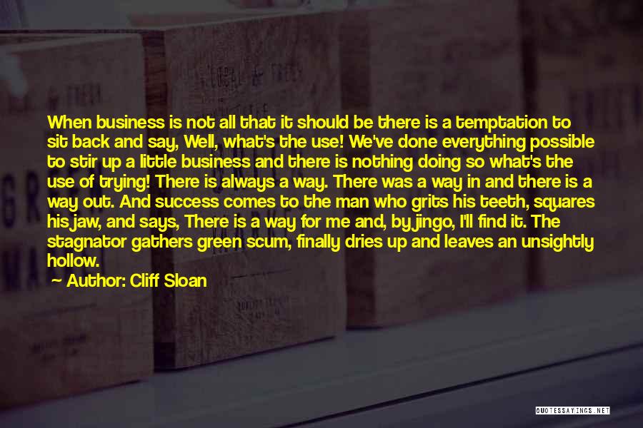 Cliff Sloan Quotes: When Business Is Not All That It Should Be There Is A Temptation To Sit Back And Say, Well, What's