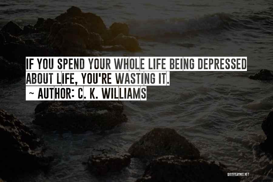 C. K. Williams Quotes: If You Spend Your Whole Life Being Depressed About Life, You're Wasting It.