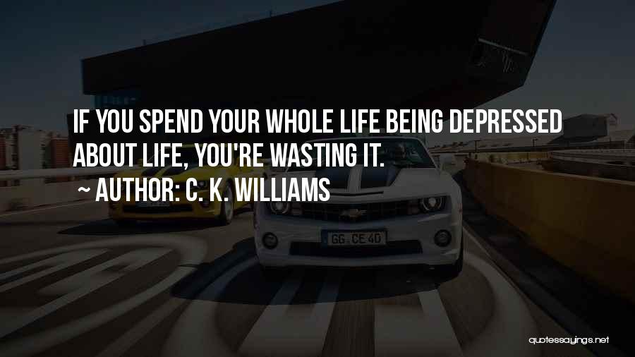 C. K. Williams Quotes: If You Spend Your Whole Life Being Depressed About Life, You're Wasting It.