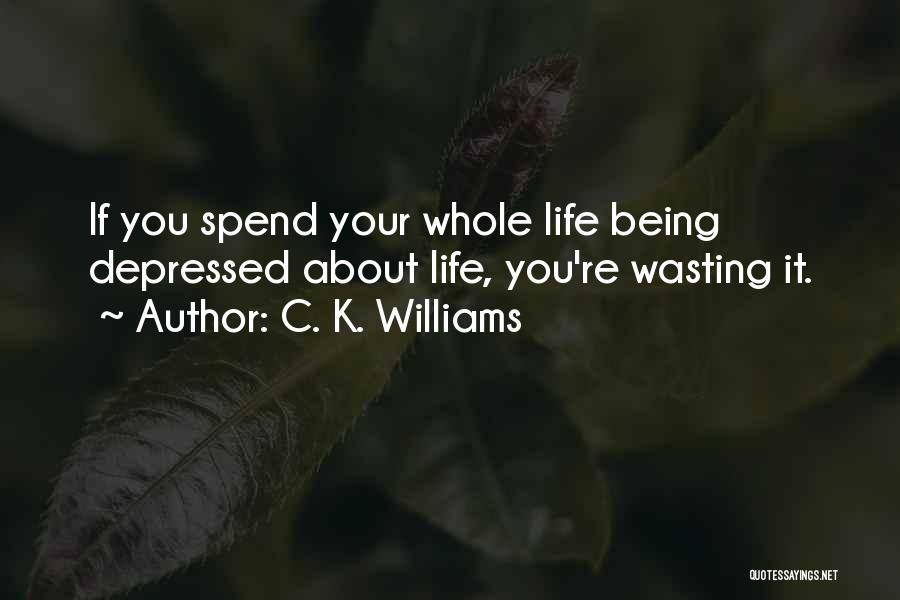 C. K. Williams Quotes: If You Spend Your Whole Life Being Depressed About Life, You're Wasting It.