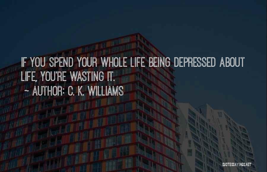 C. K. Williams Quotes: If You Spend Your Whole Life Being Depressed About Life, You're Wasting It.