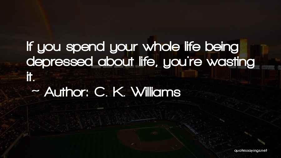 C. K. Williams Quotes: If You Spend Your Whole Life Being Depressed About Life, You're Wasting It.