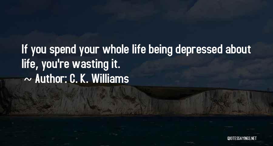 C. K. Williams Quotes: If You Spend Your Whole Life Being Depressed About Life, You're Wasting It.