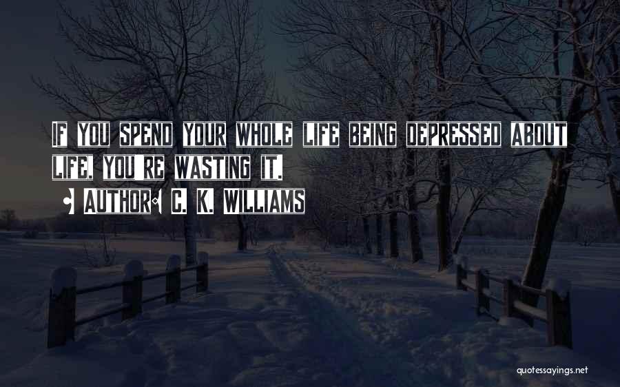 C. K. Williams Quotes: If You Spend Your Whole Life Being Depressed About Life, You're Wasting It.